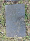 image of grave number 597318